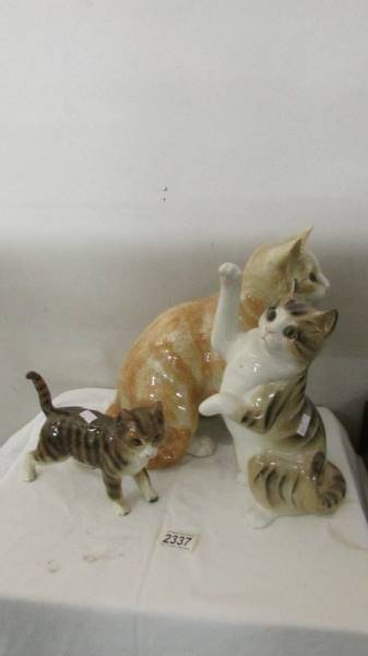 A large ginger cat, a Coopercraft cat and one other cat.