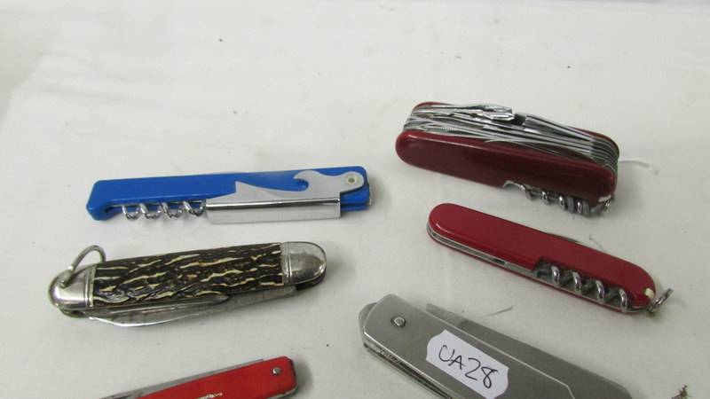 Eleven assorted pen knives including Swiss Army Knife, British Empire Exhibition knife etc. - Image 3 of 13