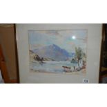 A framed and glazed watercolour lake scene with cattle, signed, 55 x 47 cm.