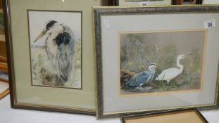 Two good quality framed and glazed watercolours of Herons, 45 x 37 cm and 34 x 43 cm.