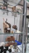 3 shelves of assorted elephant ornaments.