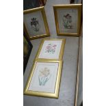A set of 4 framed and glazed botanical prints.