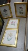 A set of 4 framed and glazed botanical prints.