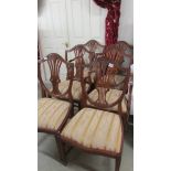 A set of 6 good quality mahogany shield back dining chairs.