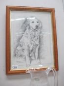 A Pollyanna Pickering study of a Golden Retriever 45cm x 35cm approx (slight rubbing to frame)