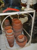 A quantity of terracotta plant pots.