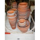 A quantity of terracotta plant pots.