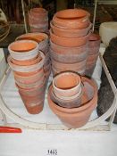 A quantity of terracotta plant pots.