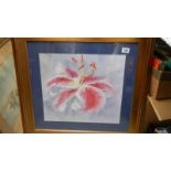 A large gilt framed and glazed study of an orchid signed Joanne Wade, 74.5 x 70 cm.