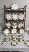 Approximately 40 pieces of Royal Albert Old Country Roses tea ware.