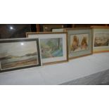4 framed and glazed watercolours.