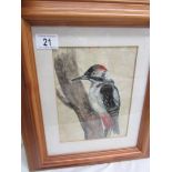 A pine framed and glazed painting of a woodpecker, image 22 x 16 cm, frame 40 x 33 cm.