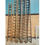 Ten wooden ladders.