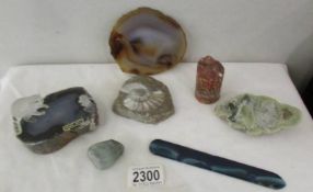 An agate surmounted and arctic fox with cub, a fossil and other stones.