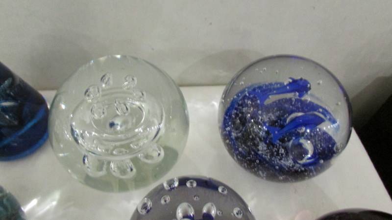 Ten glass paperweights and 2 glass oyster shells. - Image 2 of 7