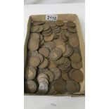 A quantity of old copper pennies.