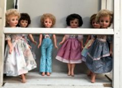 6 pedigree teen dolls with twist waist (1950/60's) approximately 48cm tall