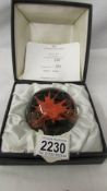 A rare Limited Edition Caithness glass paperweight "Coral" orange, 399/500.