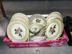 A quantity of Johnson Bros fruit sampler tea/dinnerware (20+ pieces) and 9 Spode Lombardy plates