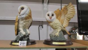 Two lovely Leonardo barn owls.