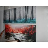 Two large prints on canvas.