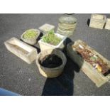 A quantity of garden pots and an old square sink.