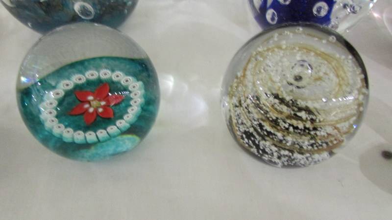 Ten glass paperweights and 2 glass oyster shells. - Image 6 of 7