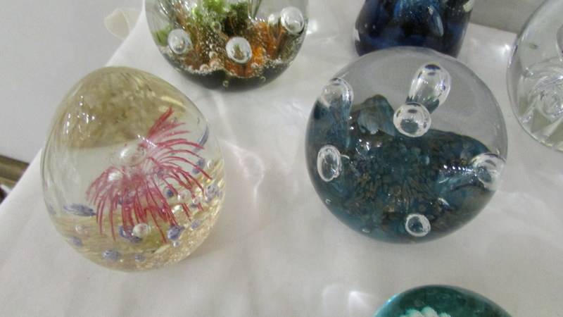 Ten glass paperweights and 2 glass oyster shells. - Image 4 of 7