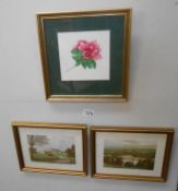 A pair of Framed and glazed engravings 'Barons Court' and 'Castle Coole' and a floral print 28cm x