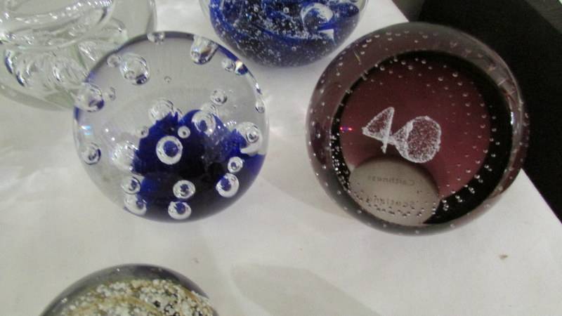 Ten glass paperweights and 2 glass oyster shells. - Image 5 of 7