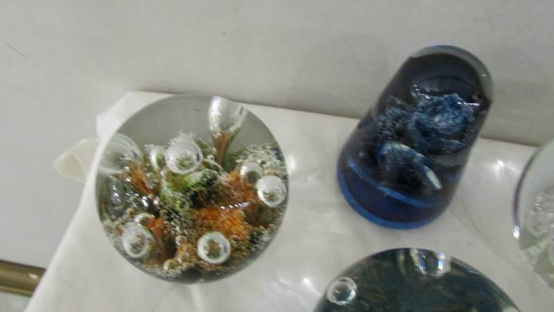 Ten glass paperweights and 2 glass oyster shells. - Image 3 of 7