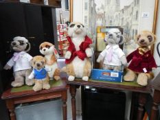 Six Compare The Market Meercats.