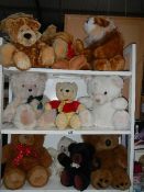 Three shelves of assorted soft toys.