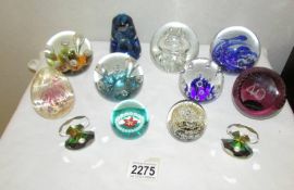 Ten glass paperweights and 2 glass oyster shells.
