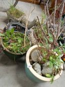 Five old garden pots etc.