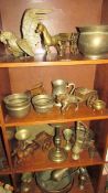 A good lot of brass items including fighting cockerel, 4 shelves.