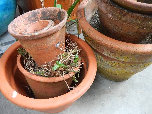 A quantity of terracotta pots. - Image 2 of 3