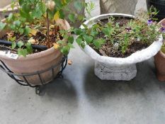 A planter on metal stand.