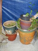 A quantity of garden pots.