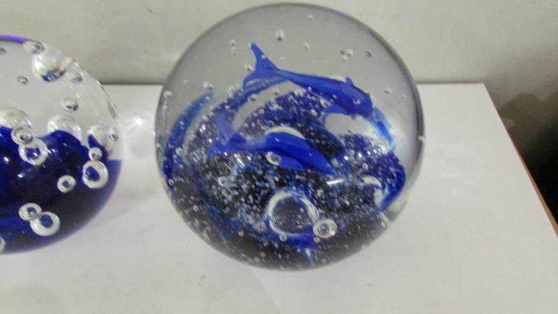 Six glass paperweights including millifiori. - Image 4 of 7