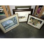 4 framed & glazed prints including cat & 1 other