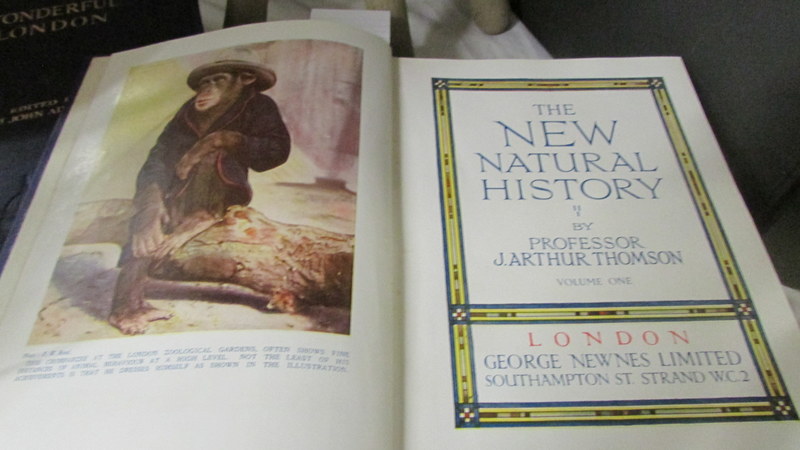 The New Natural History by Professor J Arthur Thompson, vols 1-3. - Image 2 of 2