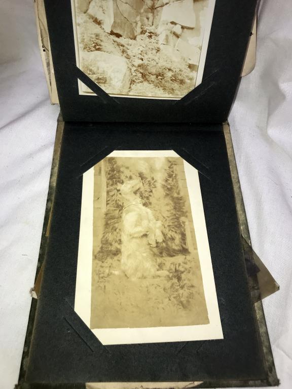 A box of old sepia photographs including albums & postcards - Image 6 of 9