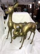 A pair of solid brass deer ornaments (height 55cm)