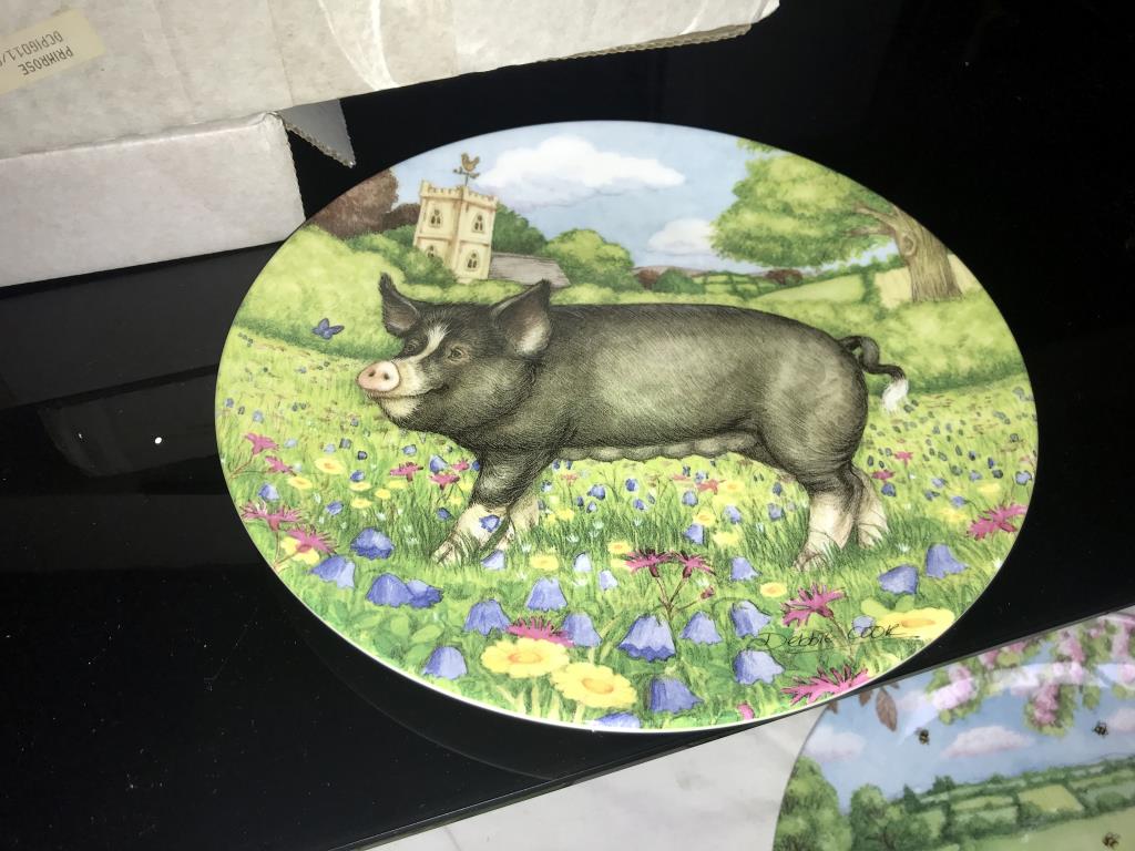 A collection of 5 Royal Doulton plates from 'The pigs in bloom' series including Campion, Buttercup, - Image 3 of 6