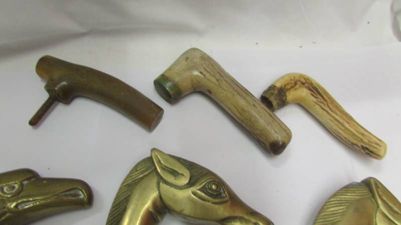 Four brass walking stick handles and three others. - Image 5 of 5