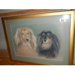 A framed and glazed pastel study of dogs by J White 2002. 58 x 45 cm.