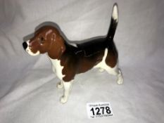 A Beswick Beagle