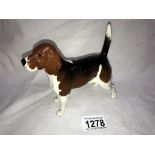 A Beswick Beagle