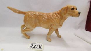 A Royal Doulton labrador retriever.